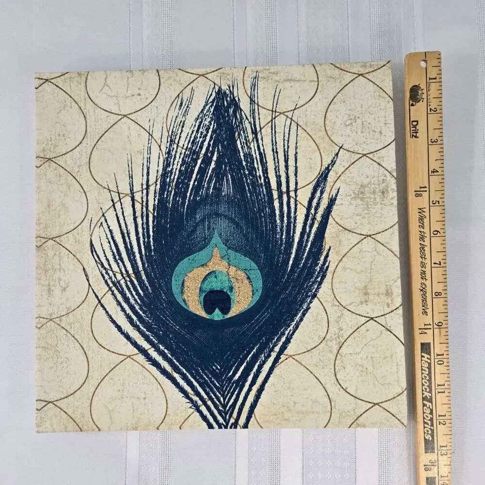 Peacock Feather Vinyl Canvas Prints Wooden Frame Set of 2 - 12x12